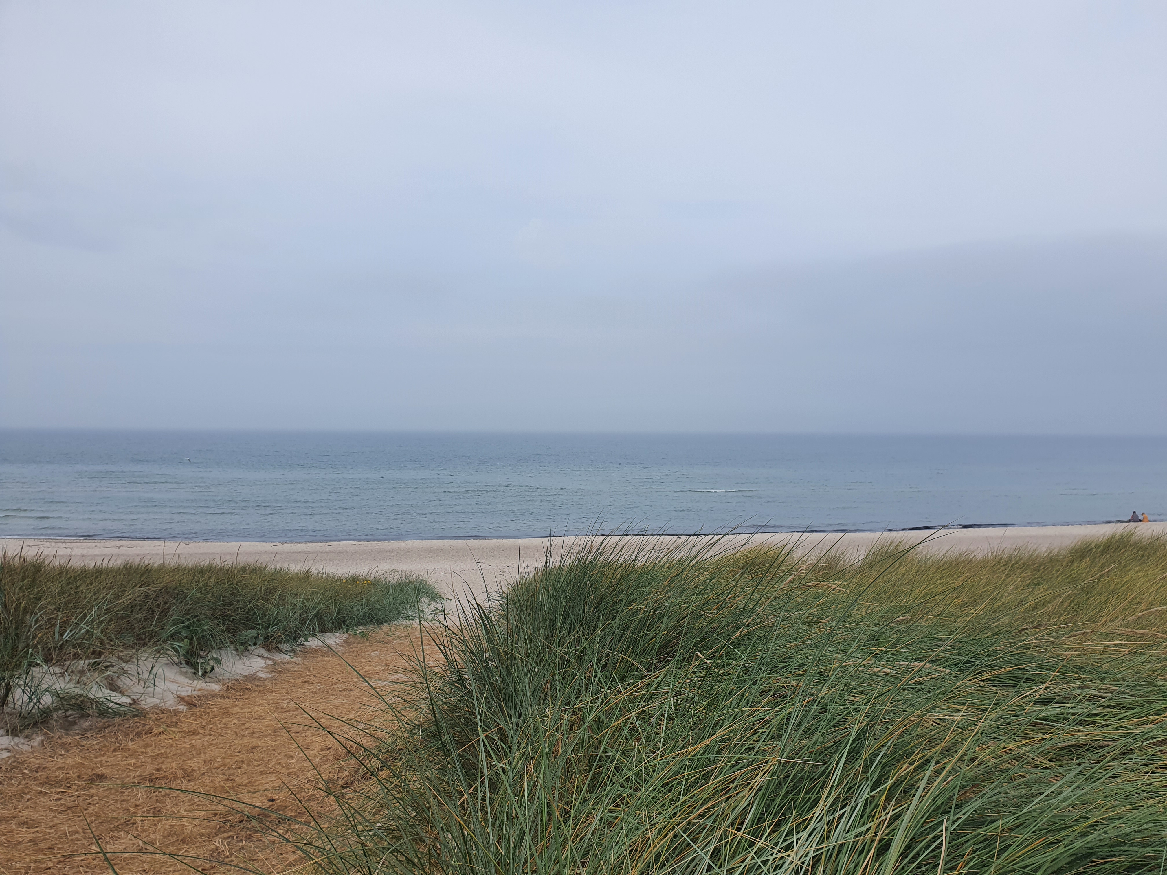 Ein stiller Blick über Dünengras, Strand und Meer unter einem weiten Himmel.